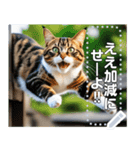 ジャンプする猫（リアル風）関西弁（個別スタンプ：5）