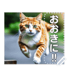 ジャンプする猫（リアル風）関西弁（個別スタンプ：6）