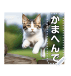 ジャンプする猫（リアル風）関西弁（個別スタンプ：11）