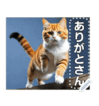 ジャンプする猫（リアル風）関西弁（個別スタンプ：12）