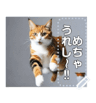 ジャンプする猫（リアル風）関西弁（個別スタンプ：16）