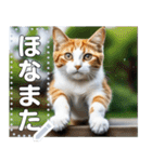 ジャンプする猫（リアル風）関西弁（個別スタンプ：24）
