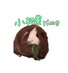 お味噌の日常（個別スタンプ：6）
