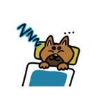 柴犬テツLINEすたんぷvol.4（個別スタンプ：10）