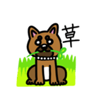 柴犬テツLINEすたんぷvol.4（個別スタンプ：16）