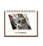 瑪瑙さん（個別スタンプ：10）