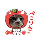 瑪瑙さん（個別スタンプ：11）
