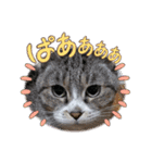 瑪瑙さん（個別スタンプ：14）