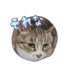 瑪瑙さん（個別スタンプ：16）