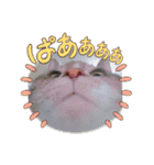 瑪瑙さん（個別スタンプ：19）