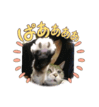 瑪瑙さん（個別スタンプ：22）