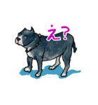 Pinchappyスタンプ【Dogs】（個別スタンプ：14）