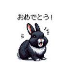 ドット絵 ネザーランドドワーフ 黒 ウサギ（個別スタンプ：14）