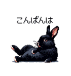 ドット絵 ネザーランドドワーフ 黒 ウサギ（個別スタンプ：24）