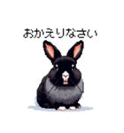 ドット絵 ネザーランドドワーフ 黒 ウサギ（個別スタンプ：29）