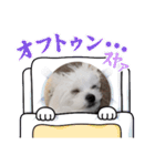 ふくちゃんのスタンプ第2弾（個別スタンプ：8）