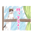 たぬき猫シンシア（個別スタンプ：5）