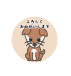 柴犬みかんのカラフル日常スタンプ（個別スタンプ：7）