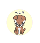 柴犬みかんのカラフル日常スタンプ（個別スタンプ：8）