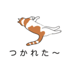 【日常に使える】やさしい毎日のあいさつ（個別スタンプ：15）