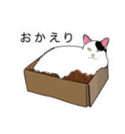 【日常に使える】やさしい毎日のあいさつ（個別スタンプ：19）