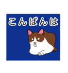 【日常に使える】やさしい毎日のあいさつ（個別スタンプ：37）