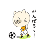 サッカーをする猫（個別スタンプ：13）