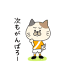 サッカーをする猫（個別スタンプ：28）