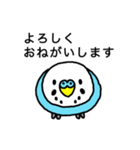 セキセイインコ（青色ブルー）LINEスタンプ（個別スタンプ：2）