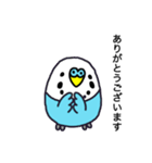 セキセイインコ（青色ブルー）LINEスタンプ（個別スタンプ：3）