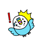 セキセイインコ（青色ブルー）LINEスタンプ（個別スタンプ：4）