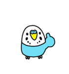 セキセイインコ（青色ブルー）LINEスタンプ（個別スタンプ：10）