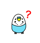 セキセイインコ（青色ブルー）LINEスタンプ（個別スタンプ：12）