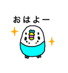 セキセイインコ（青色ブルー）LINEスタンプ（個別スタンプ：14）