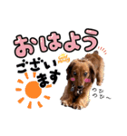 Ireneちゃん by晩ママ（個別スタンプ：1）
