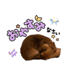 Ireneちゃん by晩ママ（個別スタンプ：3）