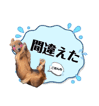 Ireneちゃん by晩ママ（個別スタンプ：4）