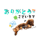 Ireneちゃん by晩ママ（個別スタンプ：8）