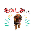 Ireneちゃん by晩ママ（個別スタンプ：13）