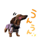 Ireneちゃん by晩ママ（個別スタンプ：15）