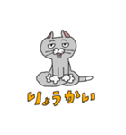 あぐらねこ（個別スタンプ：1）