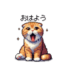 ドット絵 スコティッシュフォールド 茶  40（個別スタンプ：1）