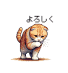 ドット絵 スコティッシュフォールド 茶  40（個別スタンプ：5）