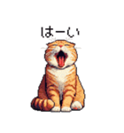 ドット絵 スコティッシュフォールド 茶  40（個別スタンプ：8）