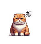 ドット絵 スコティッシュフォールド 茶  40（個別スタンプ：11）