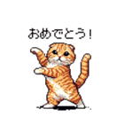 ドット絵 スコティッシュフォールド 茶  40（個別スタンプ：13）