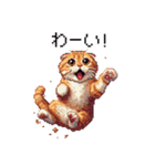 ドット絵 スコティッシュフォールド 茶  40（個別スタンプ：19）