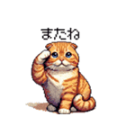 ドット絵 スコティッシュフォールド 茶  40（個別スタンプ：20）