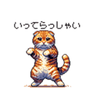 ドット絵 スコティッシュフォールド 茶  40（個別スタンプ：28）