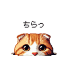 ドット絵 スコティッシュフォールド 茶  40（個別スタンプ：30）